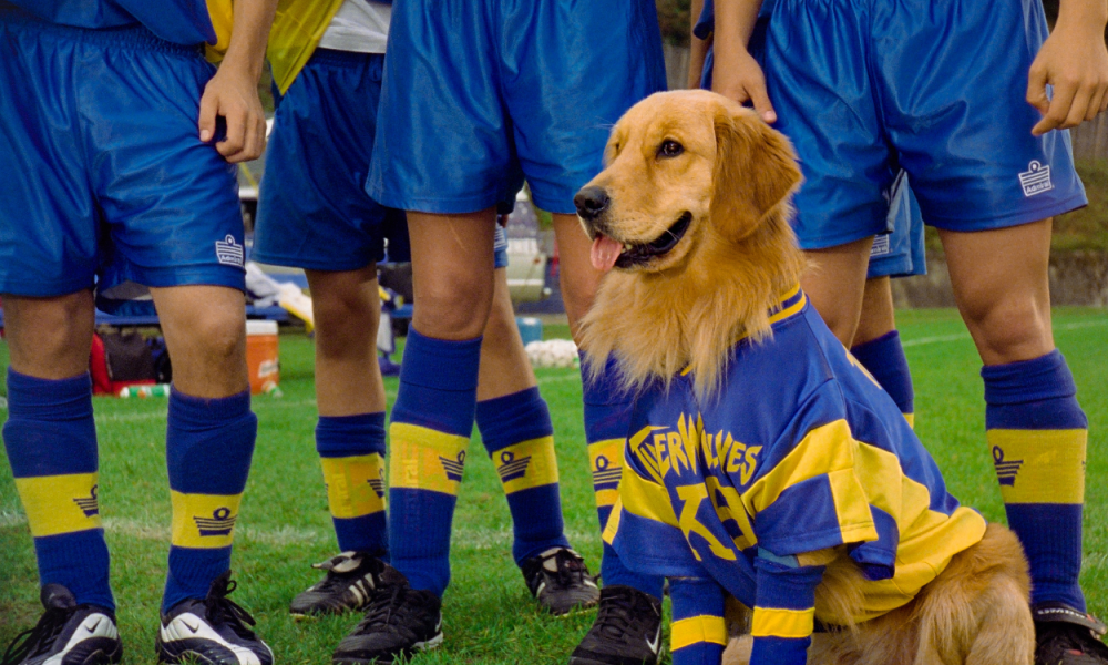 Sinopsis Air Bud: World Pup