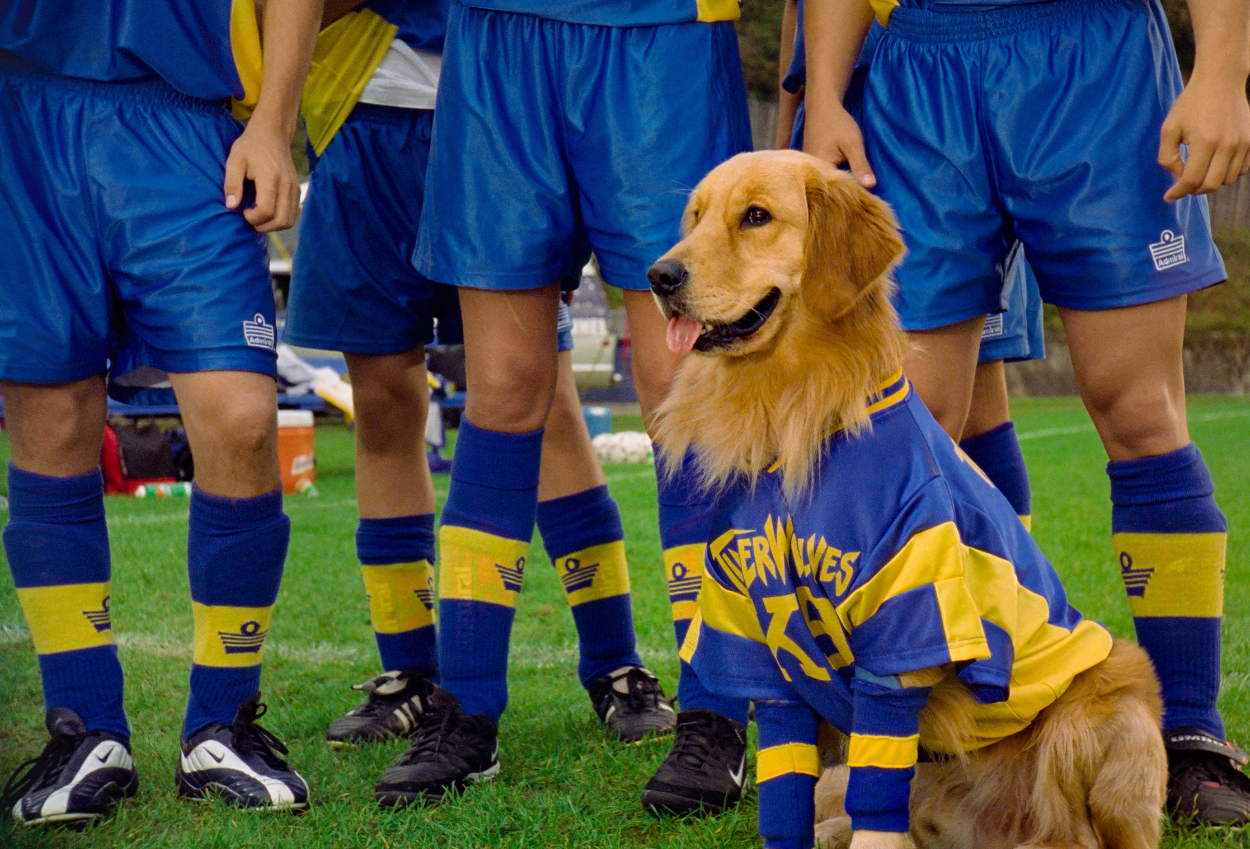Sinopsis Air Bud: World Pup