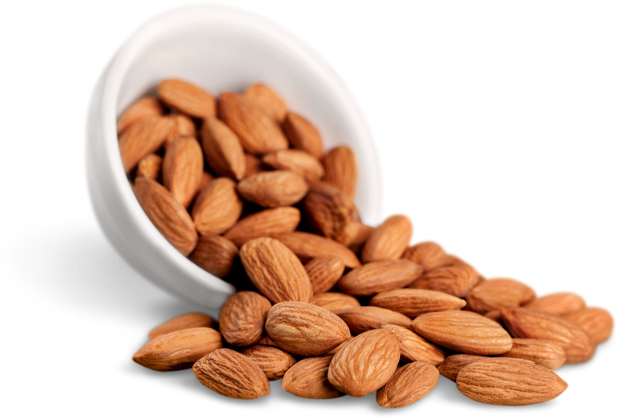 Nutrisi Kacang Almond