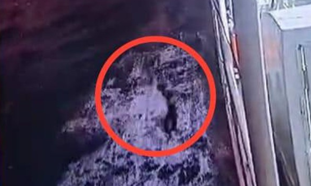 Anak Ogah Jemput, Lansia 69 Tahun Ini Nekat Lompat ke Laut di Pelabuhan Mamuju