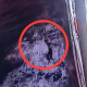 Anak Ogah Jemput, Lansia 69 Tahun Ini Nekat Lompat ke Laut di Pelabuhan Mamuju