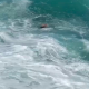 Diterjang Ombak, Wisatawan Asal Medan Hilang di Pantai Kedung Tumpang Tulungagung Saat Sedang Selfie