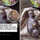 Heboh! Bayi Kambing Berwajah Manusia Lahir di India
