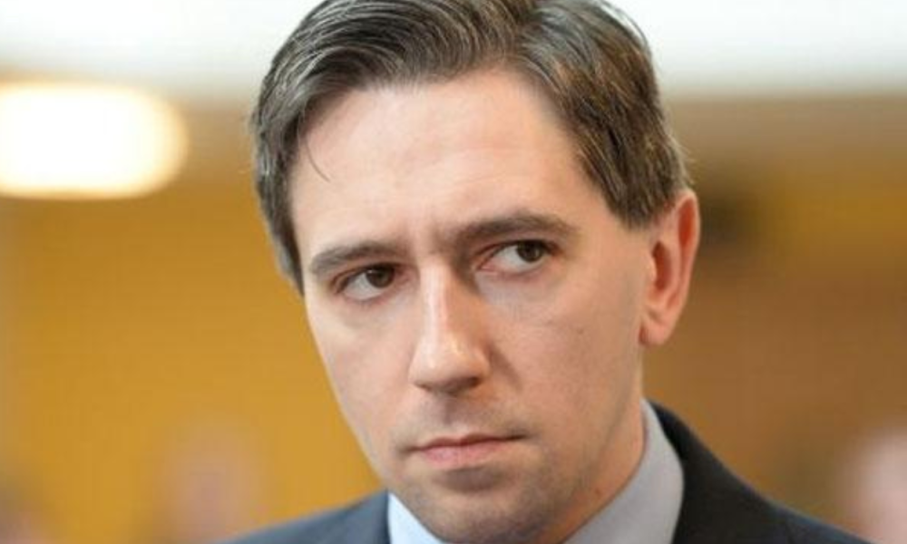 Irlandia Siapkan RUU Larangan Perdagangan dengan Permukiman Ilegal Israel