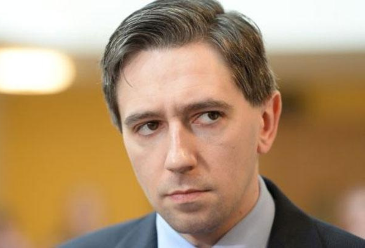 Irlandia Siapkan RUU Larangan Perdagangan dengan Permukiman Ilegal Israel