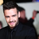 Liam Payne Akan Wariskan Harta sebesar Rp929 M untuk Anaknya Bear