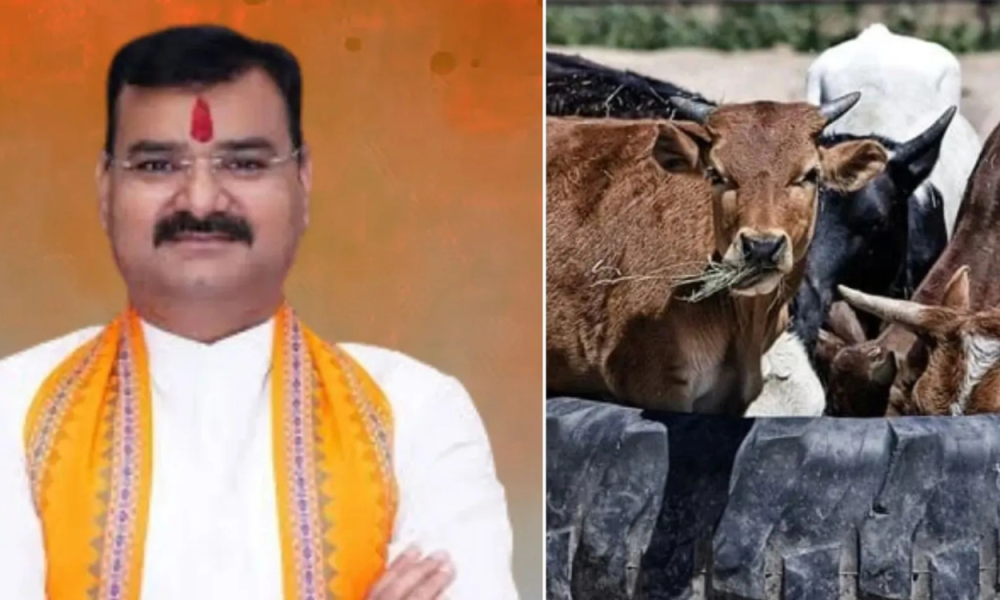 Menteri India Ungkap Bersihkan dan Berbaring di Kandang Sapi Bisa Sembuhkan Kanker (1)