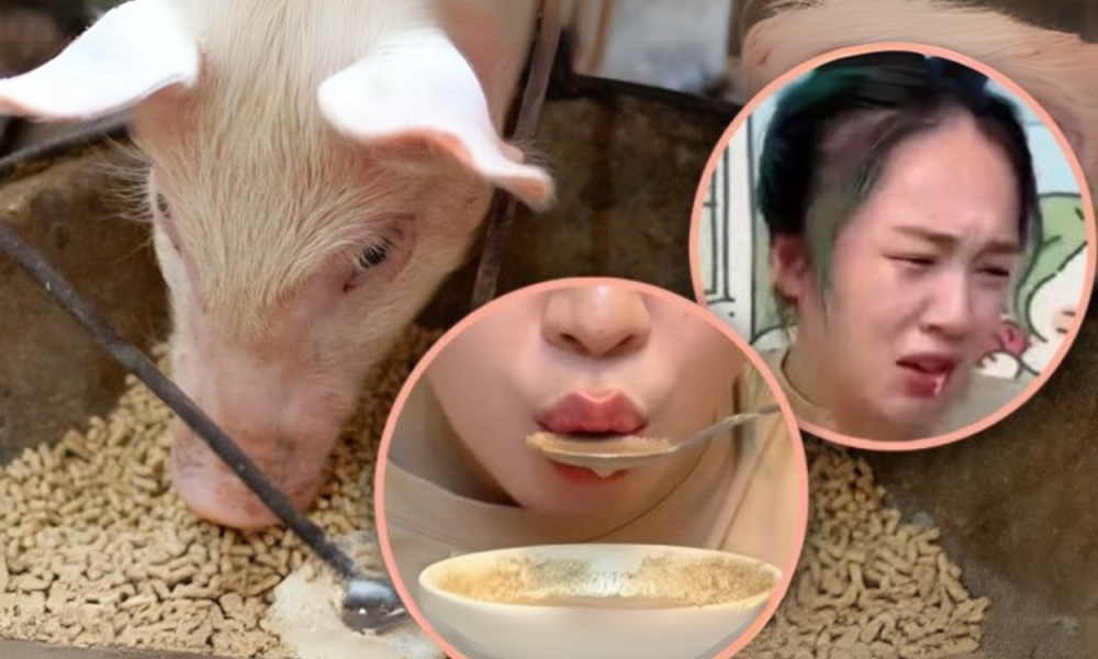 Demi Hemat, Influencer China Viral Makan Pakan Ternak Babi