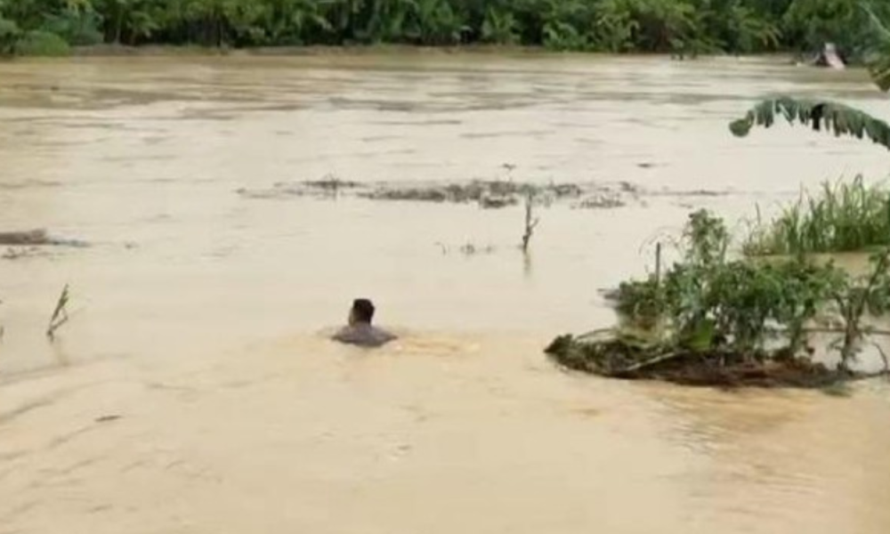 Dengan Batang Pohon, Polisi Berhasil Selamatkan Lansia yang Terjebak Banjir di Deli Serdang