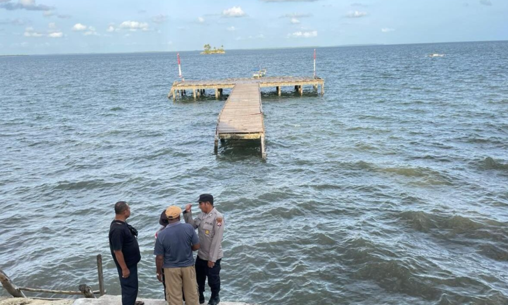 Jembatan Ambruk Saat Penyambutan Anggota DPRD Aru, Puluhan Orang Terluka