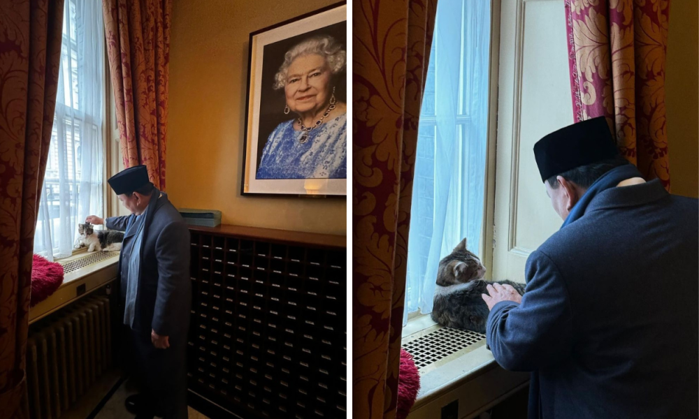 Momen Presiden Prabowo Bertemu Larry The Cat di Kantor PM Inggris