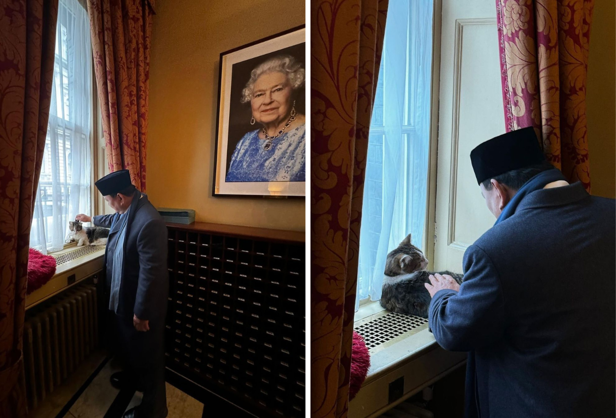 Momen Presiden Prabowo Bertemu Larry The Cat di Kantor PM Inggris