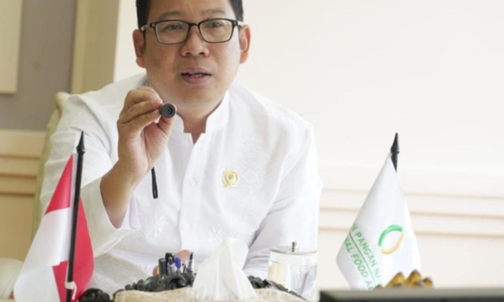 Program Bansos Beras Lanjut hingga 2025, Badan Pangan Ajukan Tambahan Anggaran