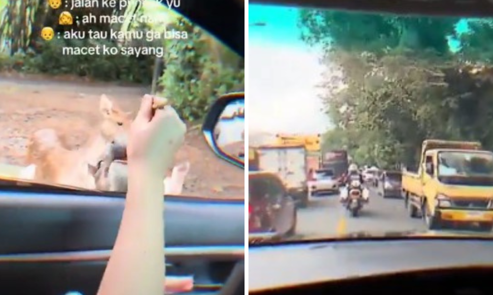 Demi Pacaran di Puncak tanpa Macet macetan, Sejoli Ini Dikawal Patwal