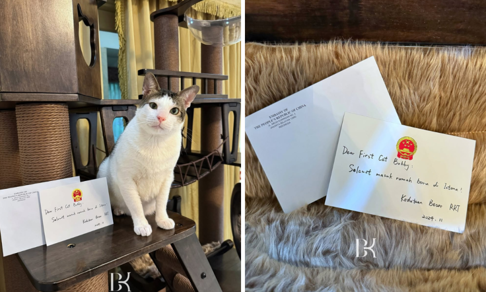 Kedubes Tiongkok Hadiahi Rumah Kucing untuk Bobby Kertanegara