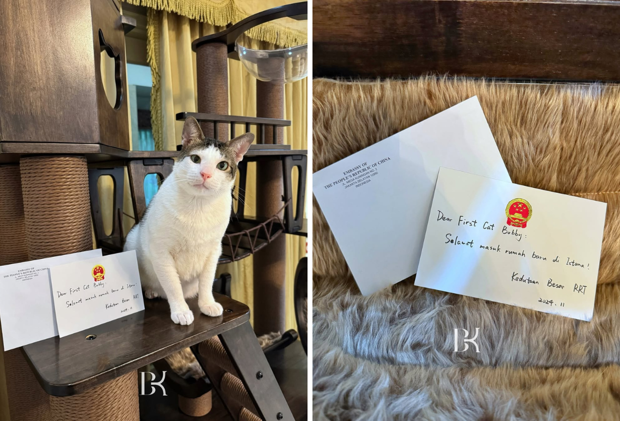 Kedubes Tiongkok Hadiahi Rumah Kucing untuk Bobby Kertanegara