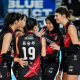 Pink Spiders Vs Red Sparks di Liga Voli Korea Selatan, Ayo Dukung Megawati!