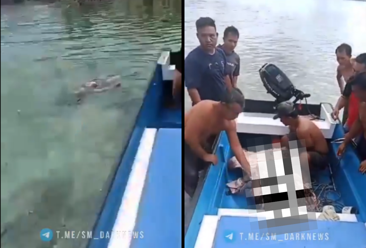 Seorang Ibu di Nias Tewas Dimakan Buaya Saat Mandi di Pantai