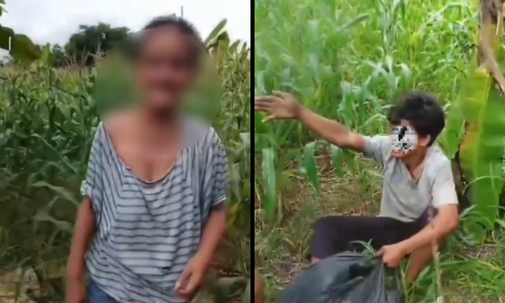 Seorang Nenek Diperkosa Pemuda 20 Tahun di Kebun Jagung