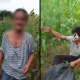 Seorang Nenek Diperkosa Pemuda 20 Tahun di Kebun Jagung