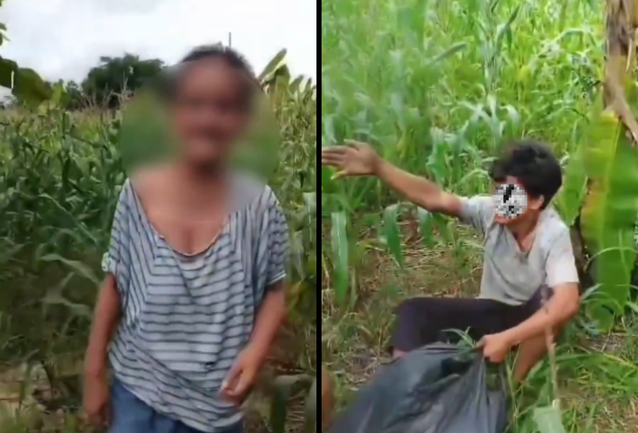 Seorang Nenek Diperkosa Pemuda 20 Tahun di Kebun Jagung