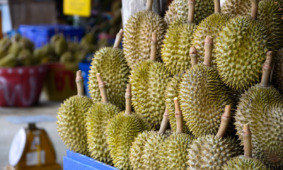 China Tolak Masuk 100 Kontainer Durian Thailand karena Diwarnai