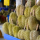China Tolak Masuk 100 Kontainer Durian Thailand karena Diwarnai