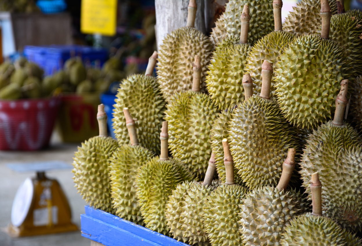 China Tolak Masuk 100 Kontainer Durian Thailand karena Diwarnai