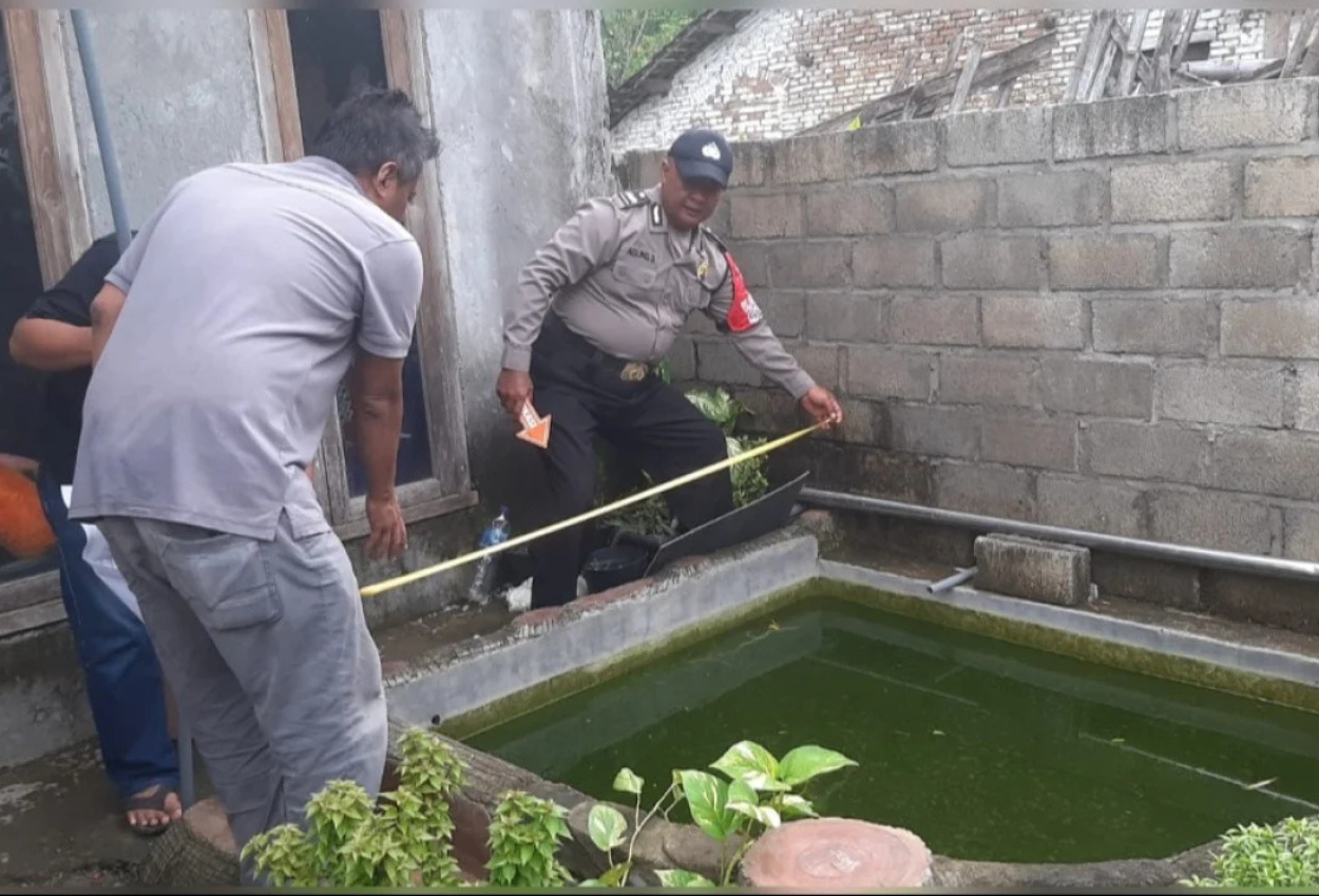 Ditinggal Ibu Tidur Siang, Balita Kembar Nganjuk Tercebur Kolam Ikan di Halaman Rumah