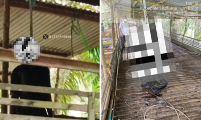 Janggal, Pria Ditemukan Tewas Gantung Diri di Bekas Kandang Ayam tapi Kaki Tak Menggantung