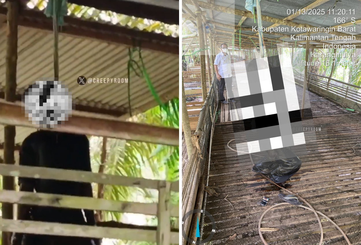 Janggal, Pria Ditemukan Tewas Gantung Diri di Bekas Kandang Ayam tapi Kaki Tak Menggantung