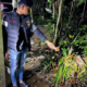 Kepsek di Kalsel Tewas Dibunuh Mantan Kekasih dari Calon Istrinya