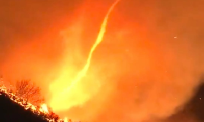 Los Angeles Kini Dilanda Tornado Api Firenado saat Kebakaran Sulit Dipadamkan
