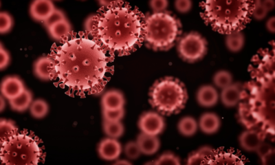 Mengenal Virus HMPV, 10 Hal yang Wajib Kamu Tahu Gejala hingga Penanganan