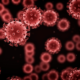 Mengenal Virus HMPV, 10 Hal yang Wajib Kamu Tahu Gejala hingga Penanganan