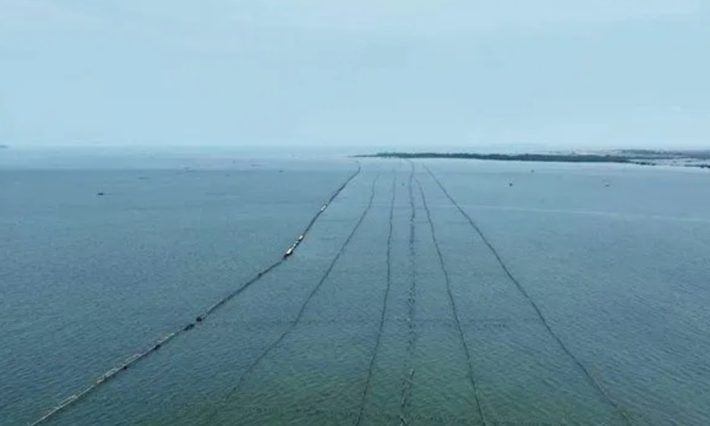 Pagar Laut Sepanjang 30 Km Terpasang di Pesisir Kabupaten Tangerang, Ini Kata KKP