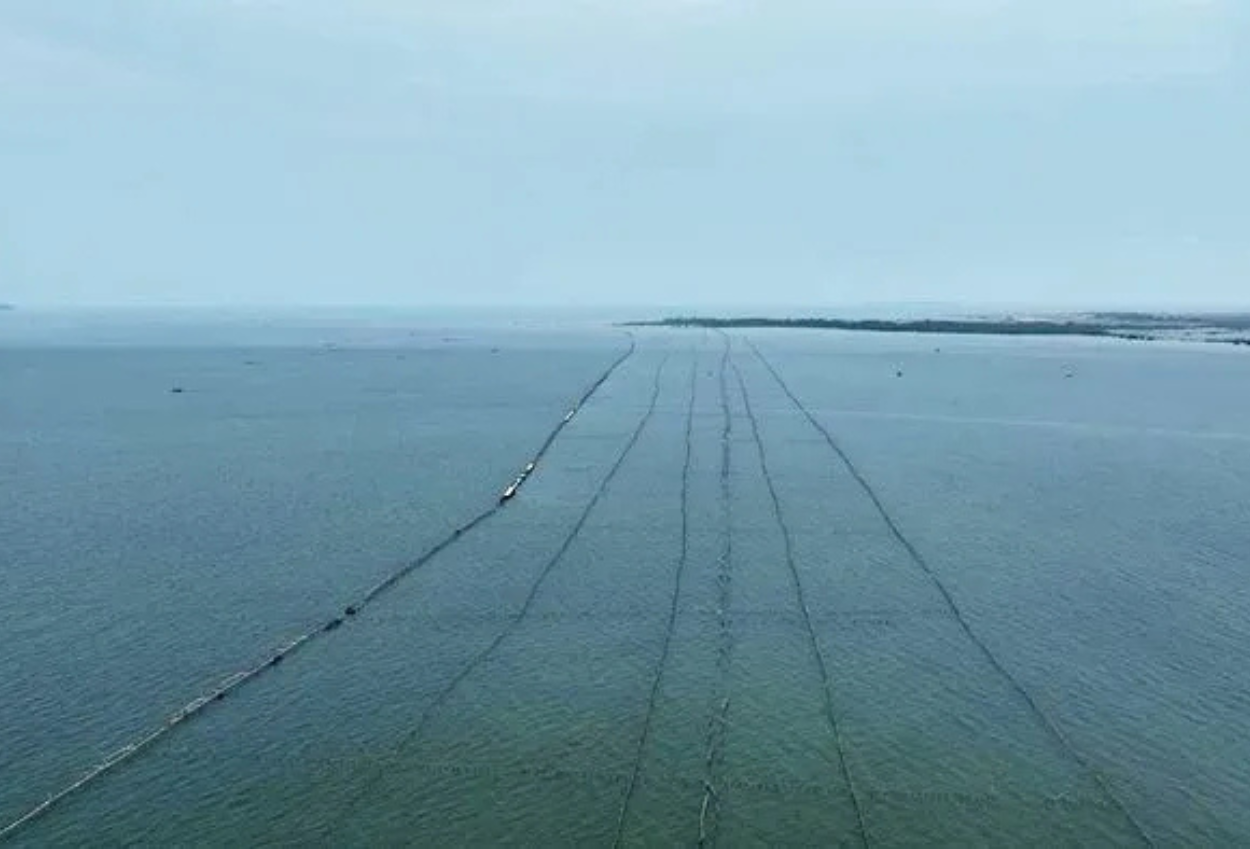 Pagar Laut Sepanjang 30 Km Terpasang di Pesisir Kabupaten Tangerang, Ini Kata KKP