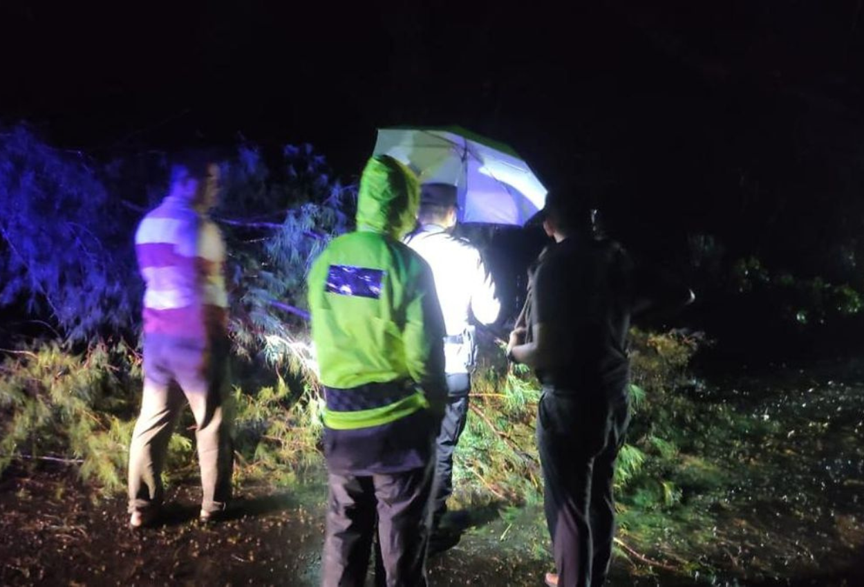 Pemotor Tewas Menabrak Pohon Cemara Tumbang di Kretek Bantul
