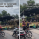 Pernikahan dengan Tema Jadul 70 an di Samping Pasar Banyuwangi Viral, Netizen Gen Z Ada yang Berani Gak