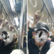 Tertangkap Video, Penumpang KRL Alami Kekerasan di Stasiun Rawa Buntu