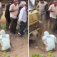 Viral! Anggota DPRD Lampung Disiram Air Genangan oleh Warga saat Tinjau Jalan Rusak