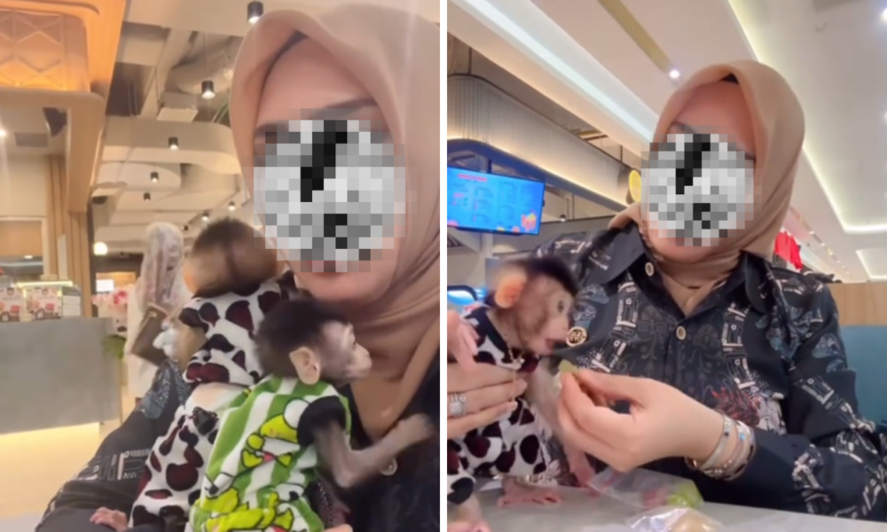 Viral! Emak emak Diusir Satpam karena Bawa Monyet ke Food Court Mall