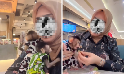 Viral! Emak emak Diusir Satpam karena Bawa Monyet ke Food Court Mall