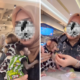 Viral! Emak emak Diusir Satpam karena Bawa Monyet ke Food Court Mall