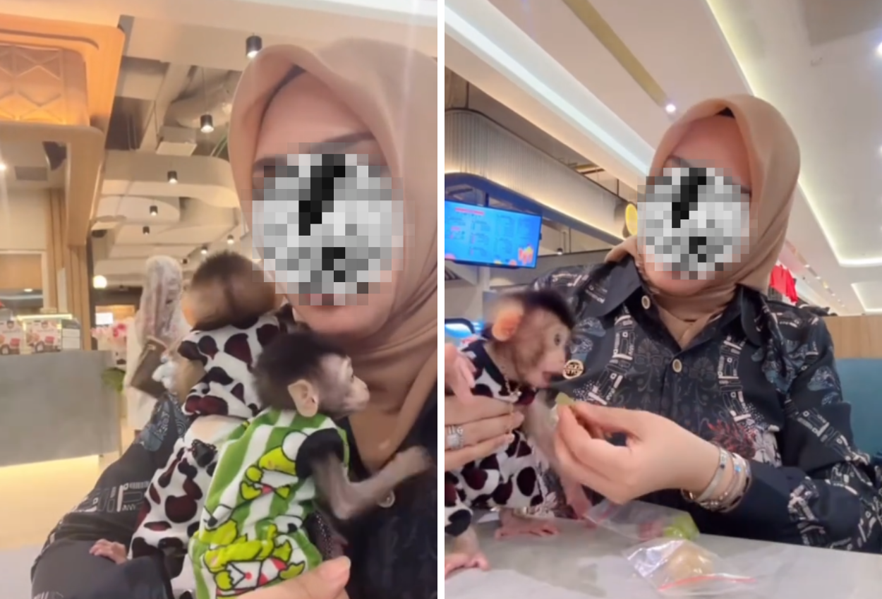Viral! Emak emak Diusir Satpam karena Bawa Monyet ke Food Court Mall