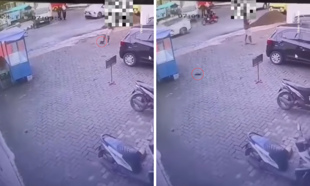 Viral! Pria di Cianjur Tendang Kucing hingga Tewas, Buat Netizen Geram