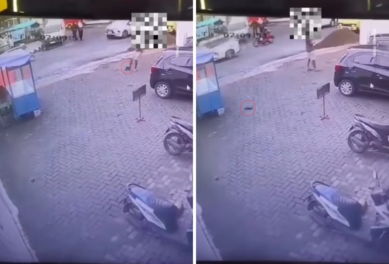 Viral! Pria di Cianjur Tendang Kucing hingga Tewas, Buat Netizen Geram