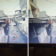 Viral! Pria di Kelapa Gading Tega Tembak Mati Kucing dengan Senapan Angin
