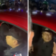 2 Oknum Polisi di Semarang Peras Pasangan Remaja Rp2,5 Juta yang Berduaan di Mobil padahal sedang Tidak Dinas