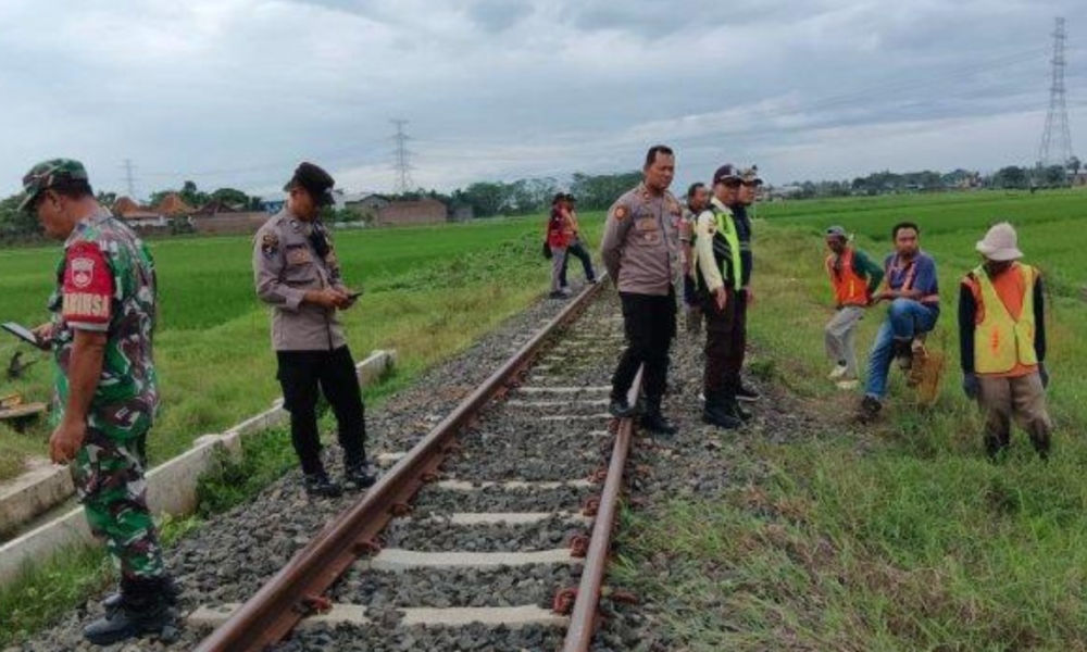 7 Kambing Mati Tertabrak Kereta saat Uji Coba KA Cepat di Sukoharjo